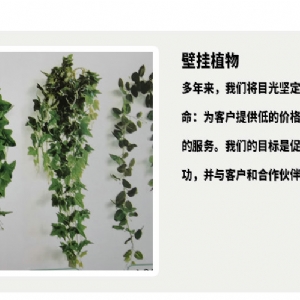 壁挂植物