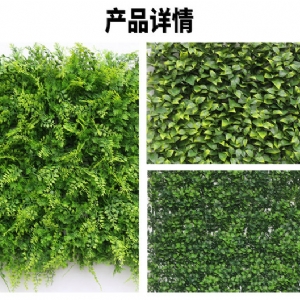 植物墙