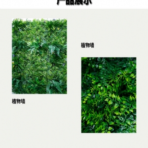 植物墙