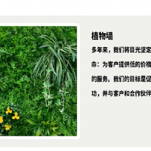 植物墙