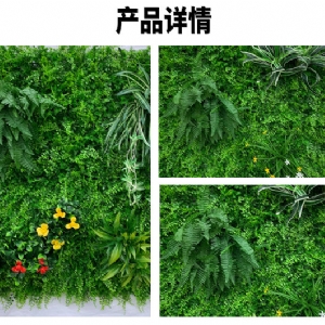 植物墙