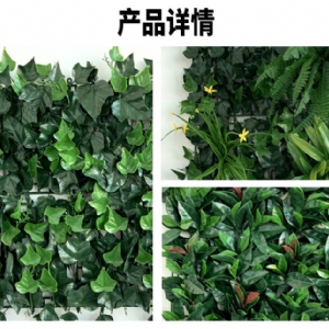 植物墙