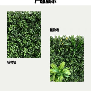 植物墙