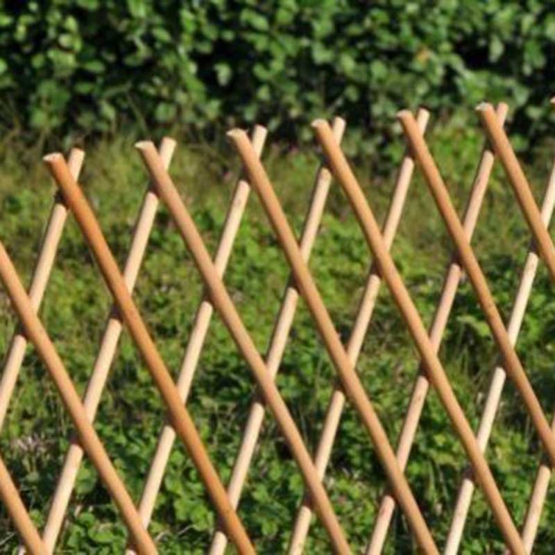 Willow expanding trellis