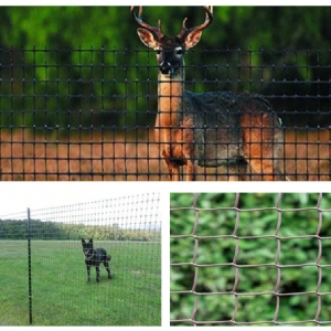 Deer Fence