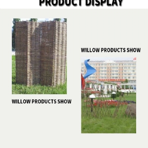 Willow Products Show