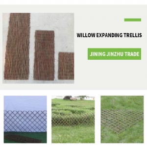 Willow expanding trellis