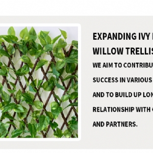 EXPANDING Ivy leaf willow trellis